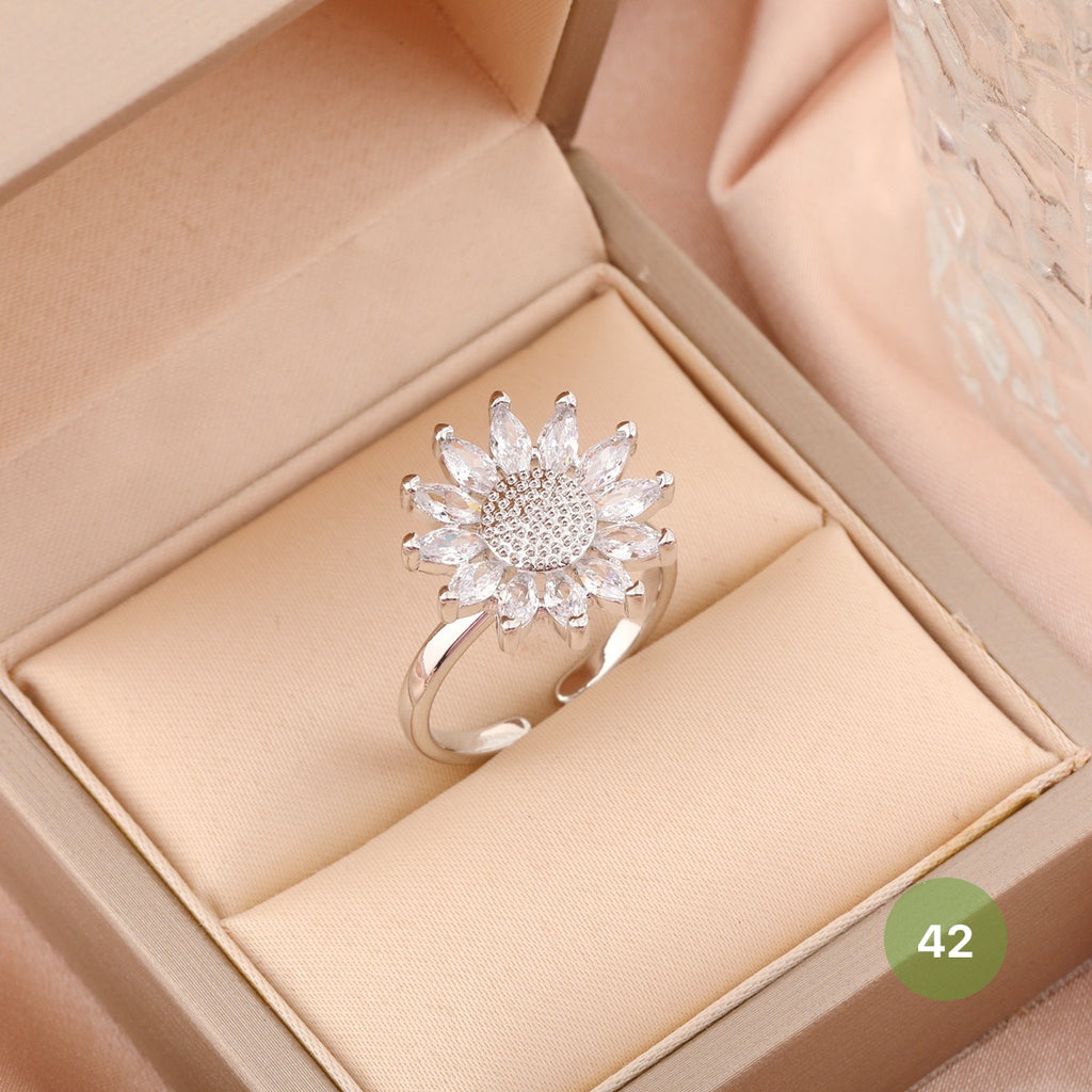 Silver Spinner Ring