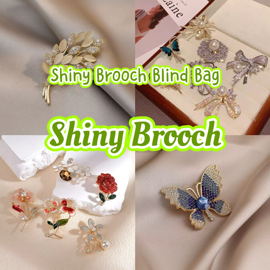 Shiny Brooch - Blind Bag