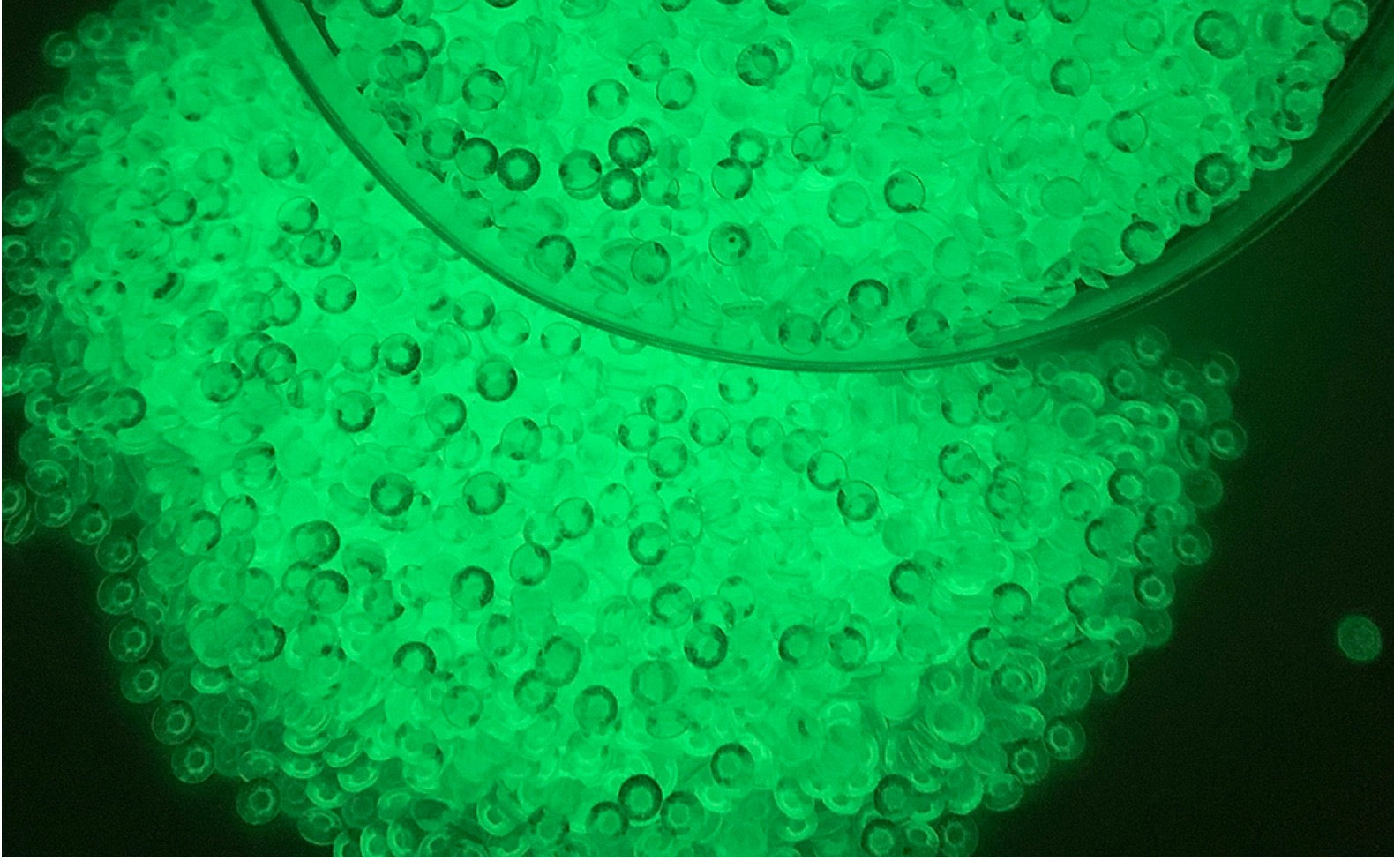 Glowing Rhinestones 3mm  (Strong Luminous)
